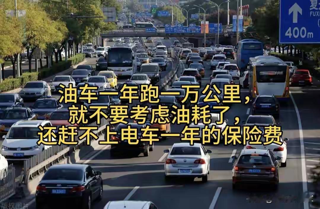 都说一年跑一万公里，油钱根本不用在乎？可算完账，有家充的电车一年养车成本才五千多