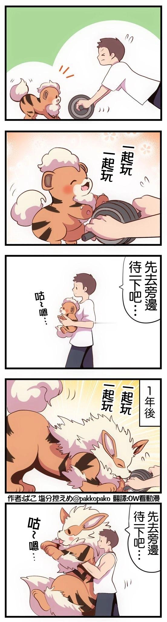 训练时跑来玩耍的卡蒂狗​​​