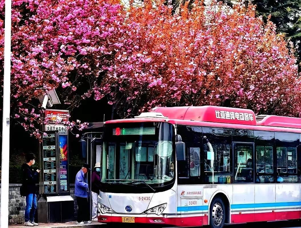 大连公交后勤人员数量超过司机？5500名一线司机的背后，竟然有7100名后勤人员