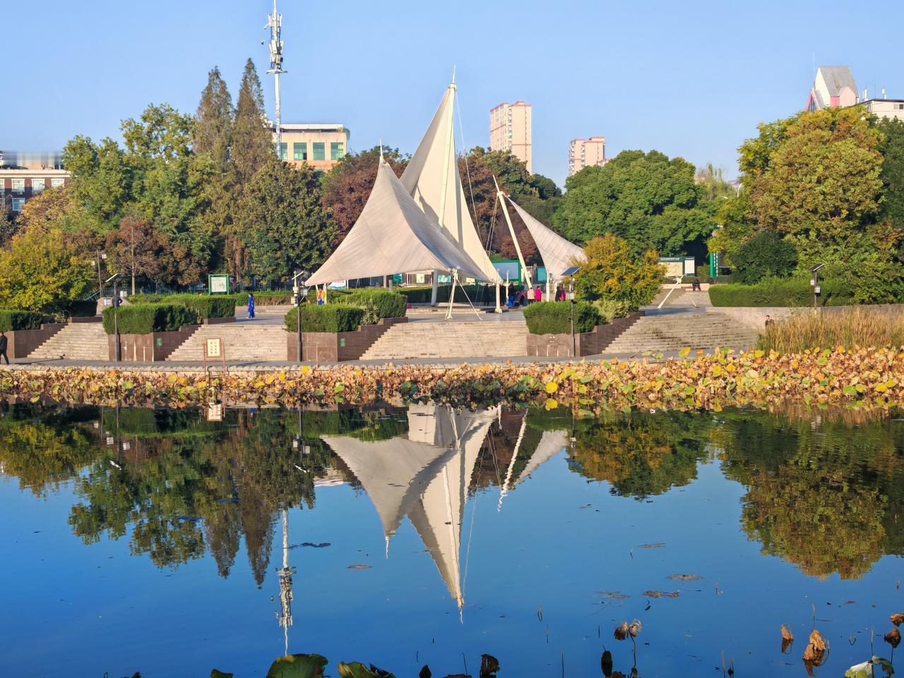 。最近天气不错，去公园散了散步，还随手拍了些照片。11月秋风送爽，就像敦煌的