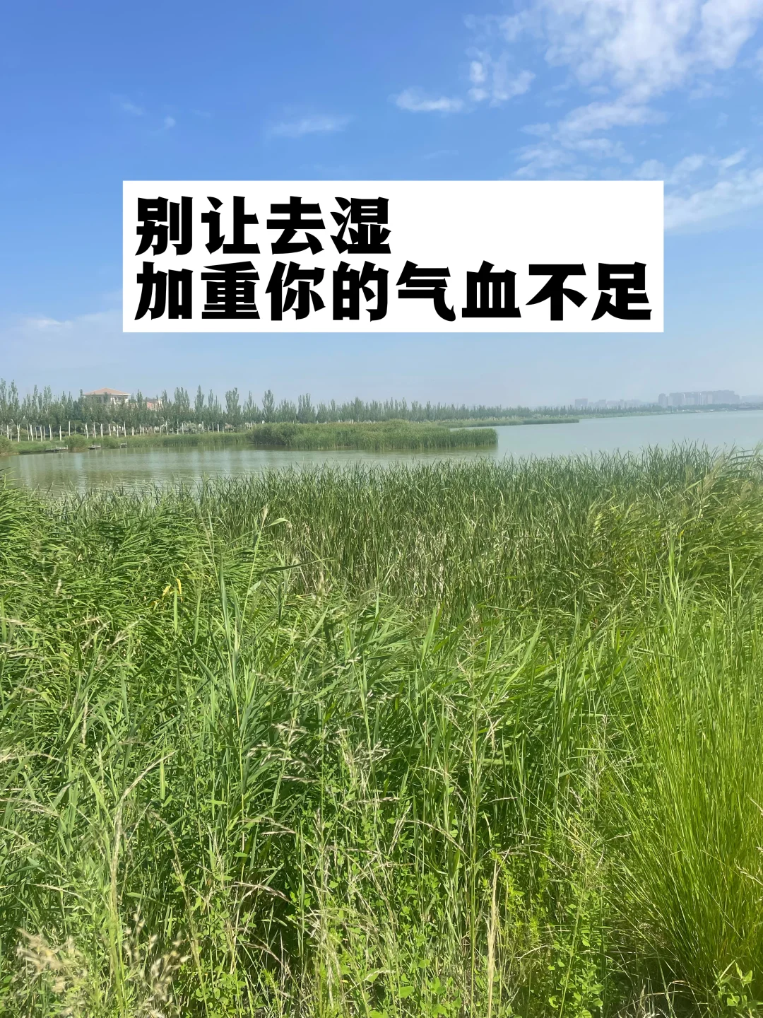 别让去湿，加重你的气血不足！