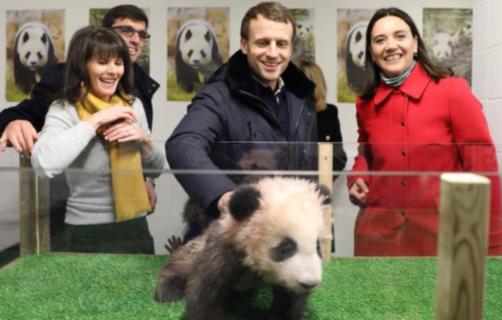 今非昔比！马克龙访华：上次百亿订单刷爆屏，这次中方连预热通稿都没有！法国总统访华