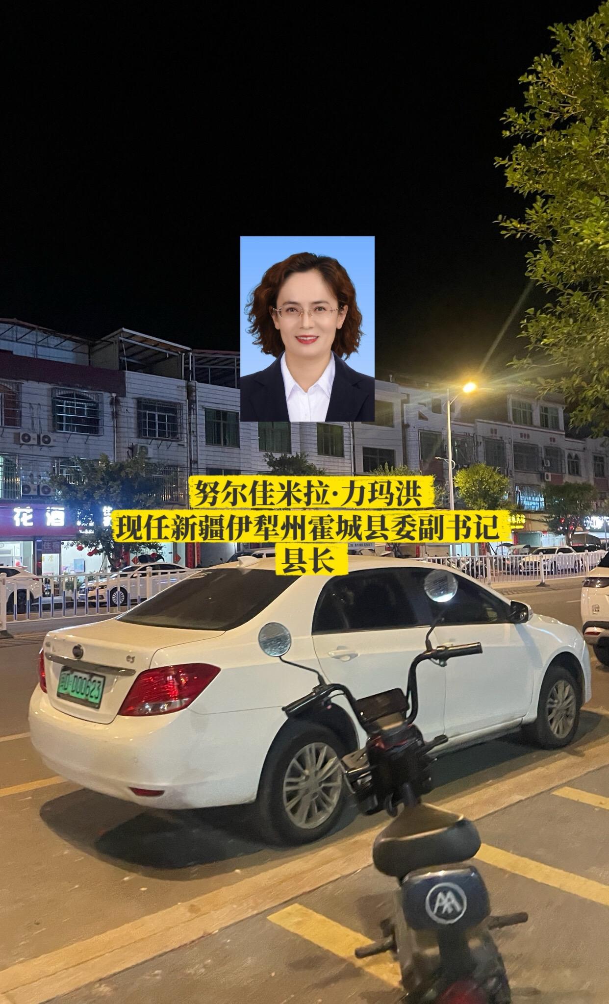 新疆伊犁州各书记。