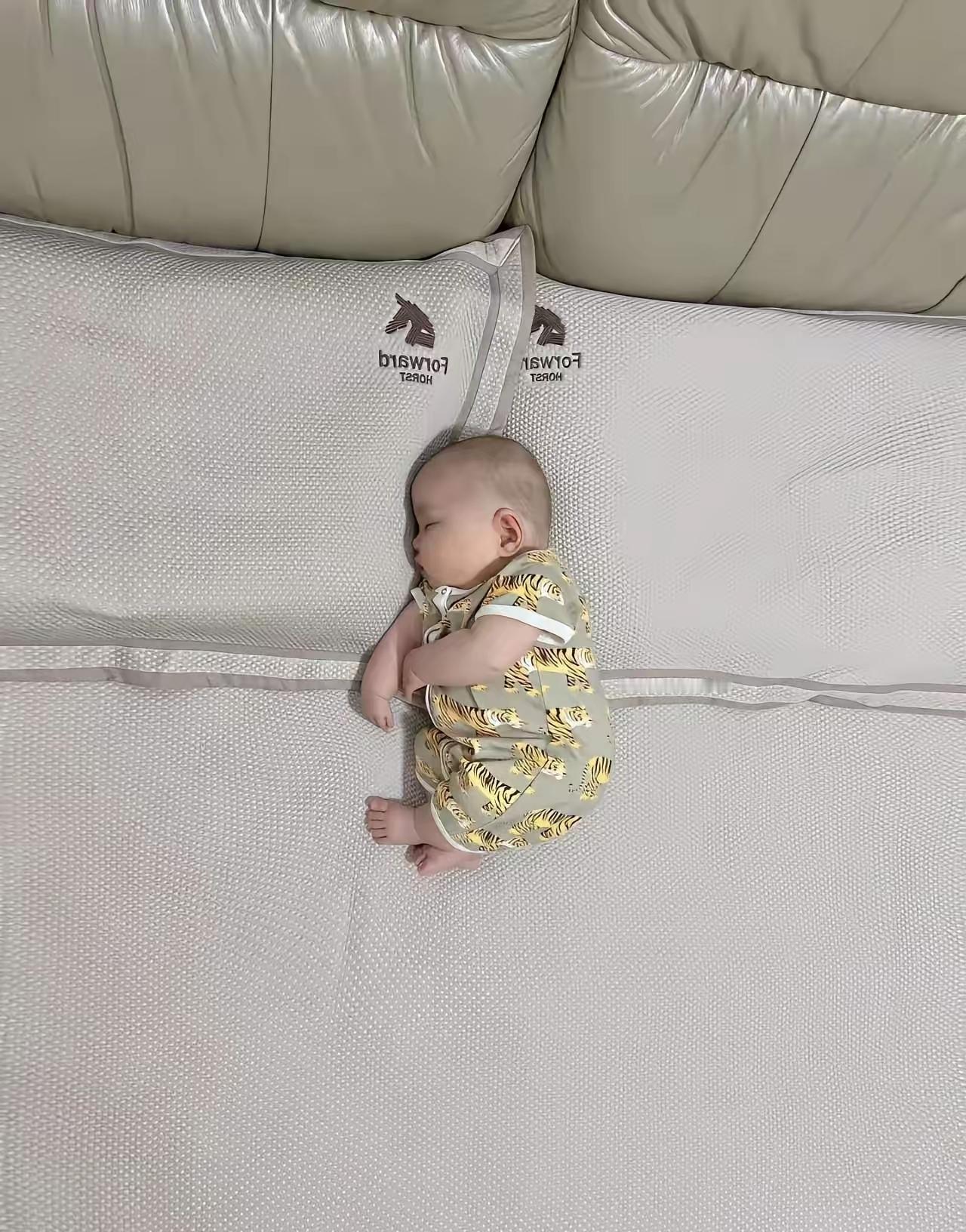 人如果像动物就好了，短时间就可以自立了，可是一个人要想自立，得需要多长时间啊。