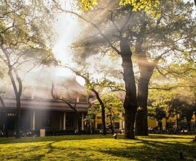 杭州灵隐寺，听暮鼓晨钟，呢喃梵音。[比心]​​​​