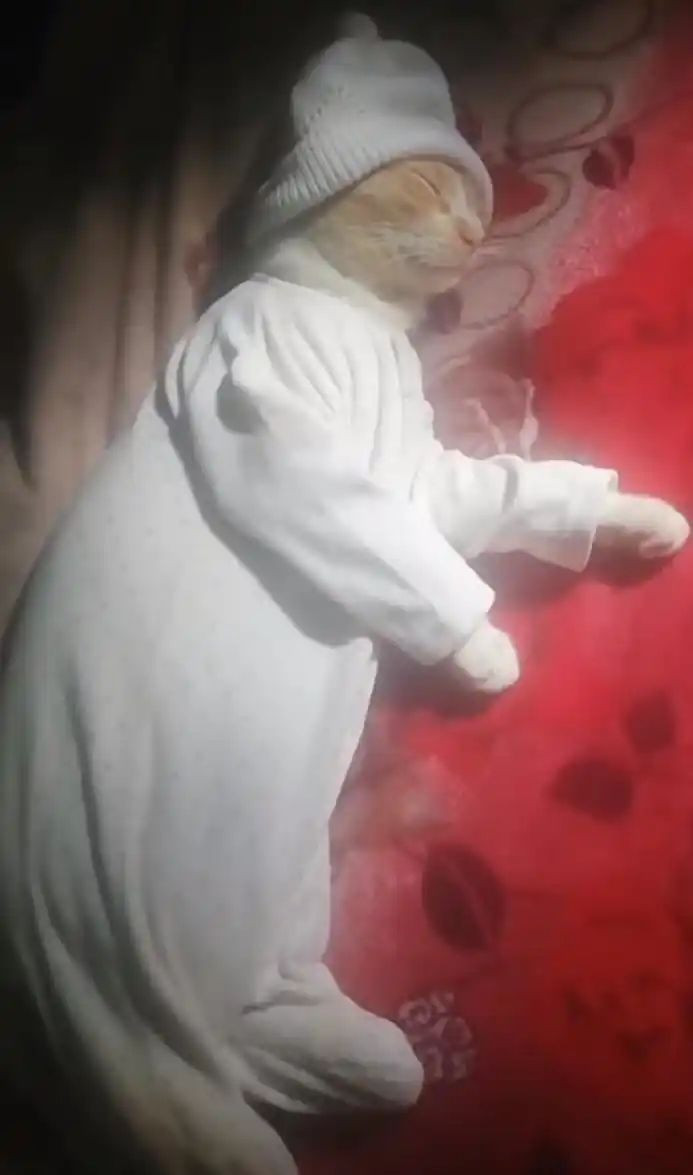 ZZZzzzz​​​