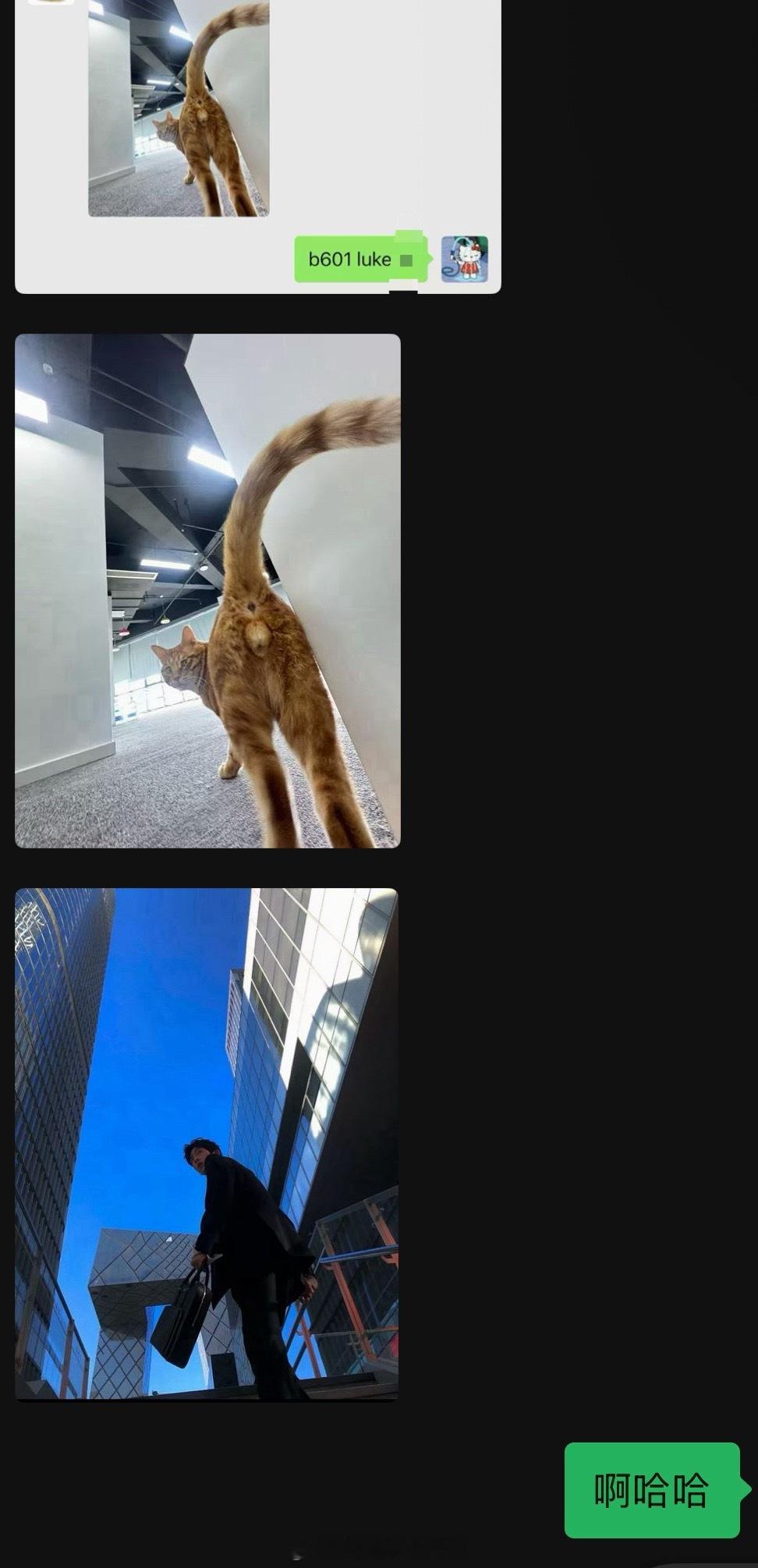 哈哈哈哈怎么那么好笑上班又追剧的人真的很容易不正常[笑着哭]​​​