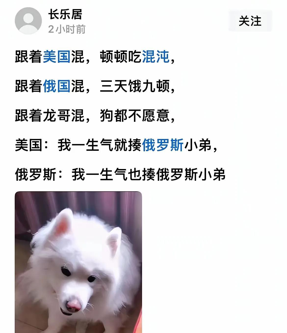 为什么要跟着混呢[抠鼻]