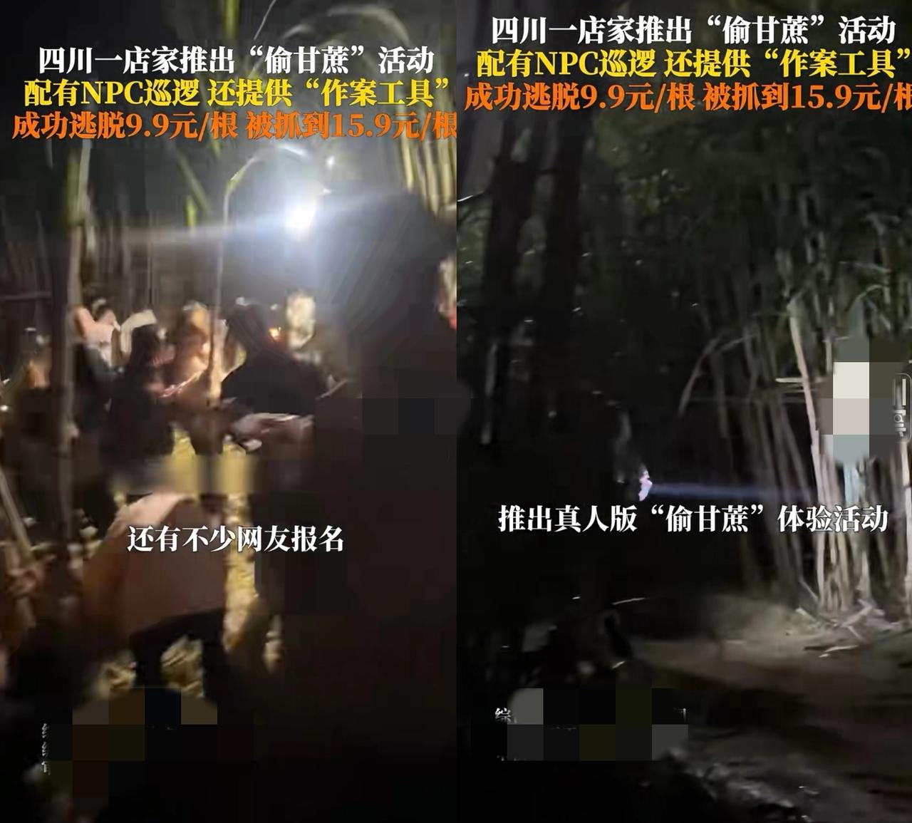 太绝了！四川男子卖甘蔗生意惨淡，妻子出怪招：想办法让顾客来偷，然后放狗追