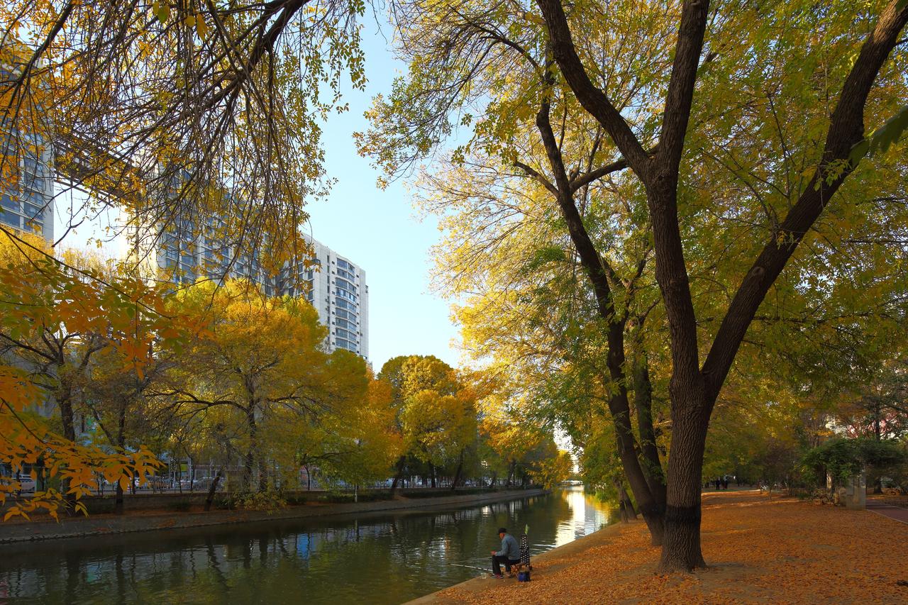 南运河最后两公里藏着天津最美的秋色。天津随手拍我们身边美景南运河秋色秋天里