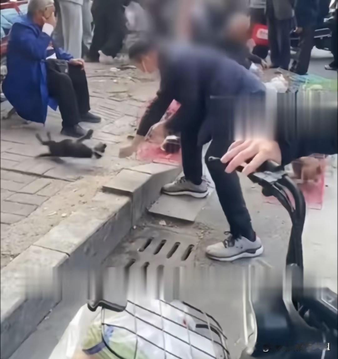 在河南周口，发生了一件让人非常气愤的事！有个老大爷，可能就是想补贴点家用，在