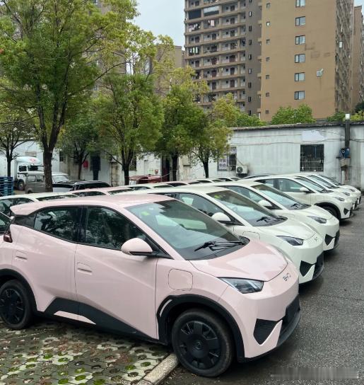 想买个几万块的电车，看了海鸥、缤果、奇瑞QQ3和零跑A10，最后一圈试...