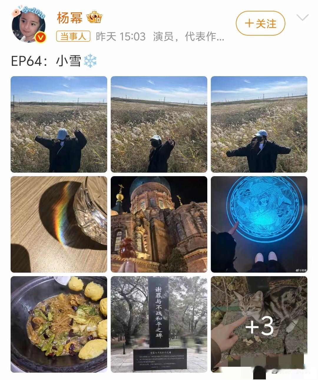 关于杨幂有一个疑问还是想问出来她在小雪节气发了一张表明立场的照片获