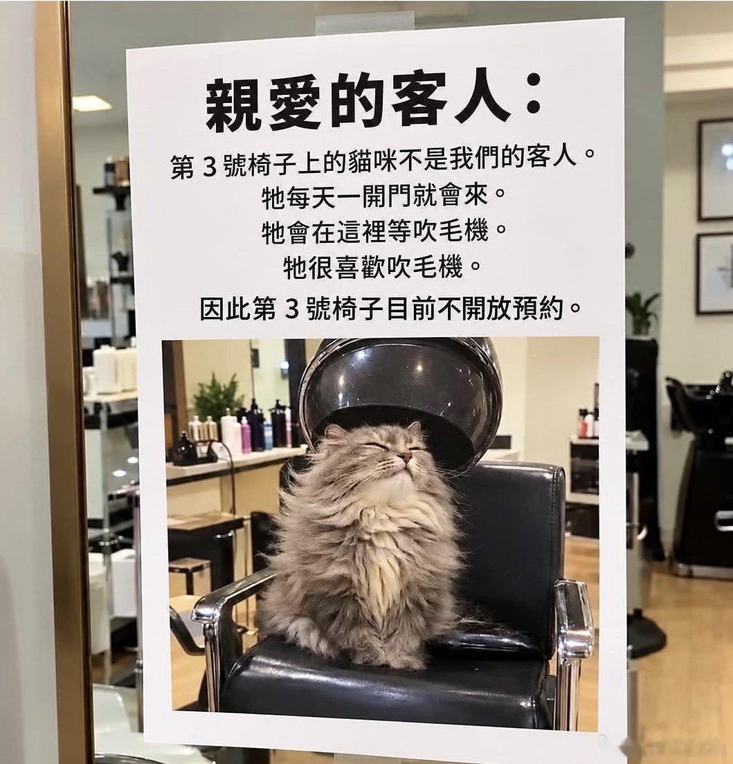 3号椅子目前不开放预约🐱​​​