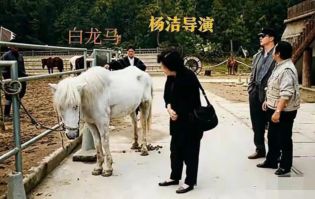 提起86版《西游记》，几代人的童年记忆里，都刻着师徒四人西天取经的身影。可很