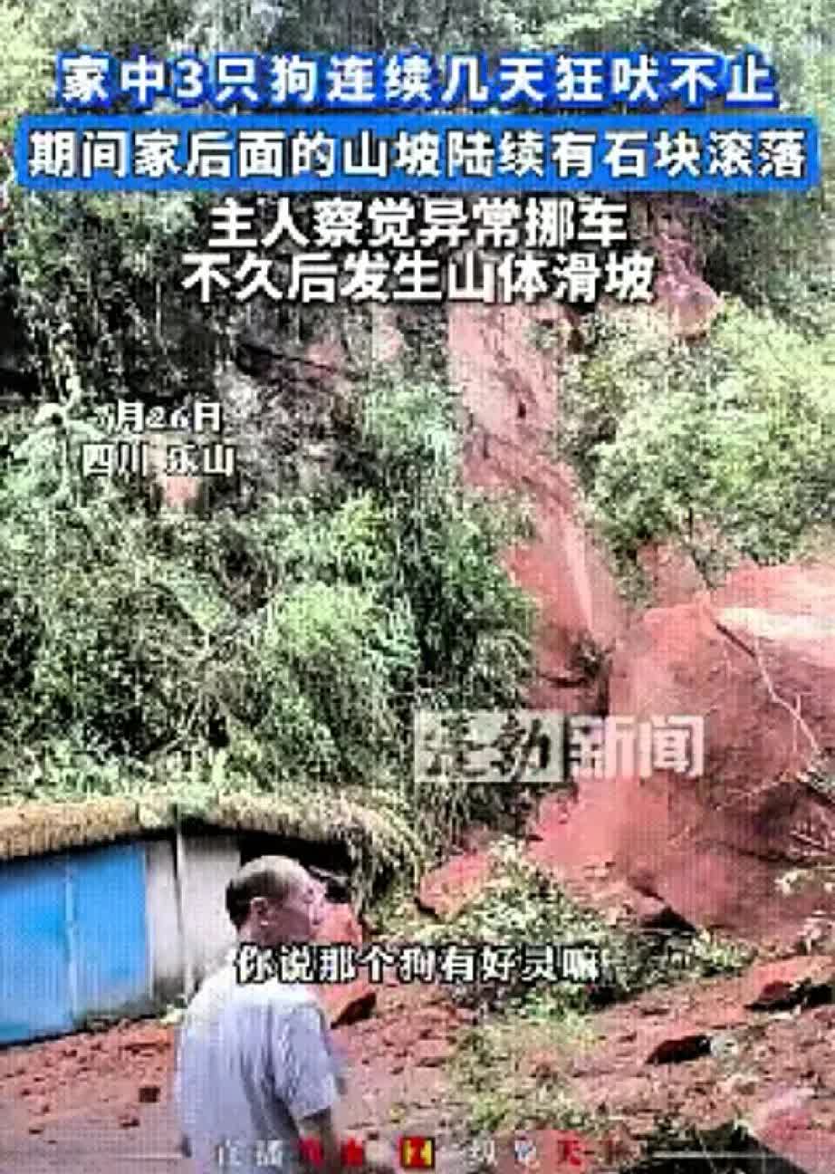 彻底解释不清了！四川乐山，一男子家里养的3条狗，连续几天一直狂吠，起初男子并不在