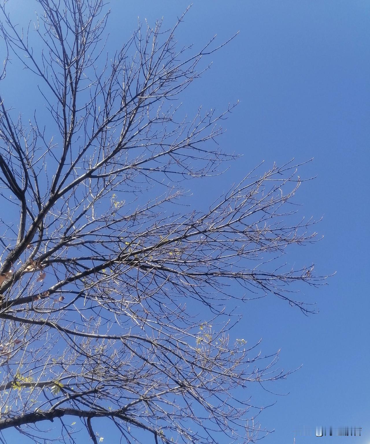 上午忙完一天的工作内容，下午去做经络调理了，这不是件舒服的事，我还是有勇气去了。