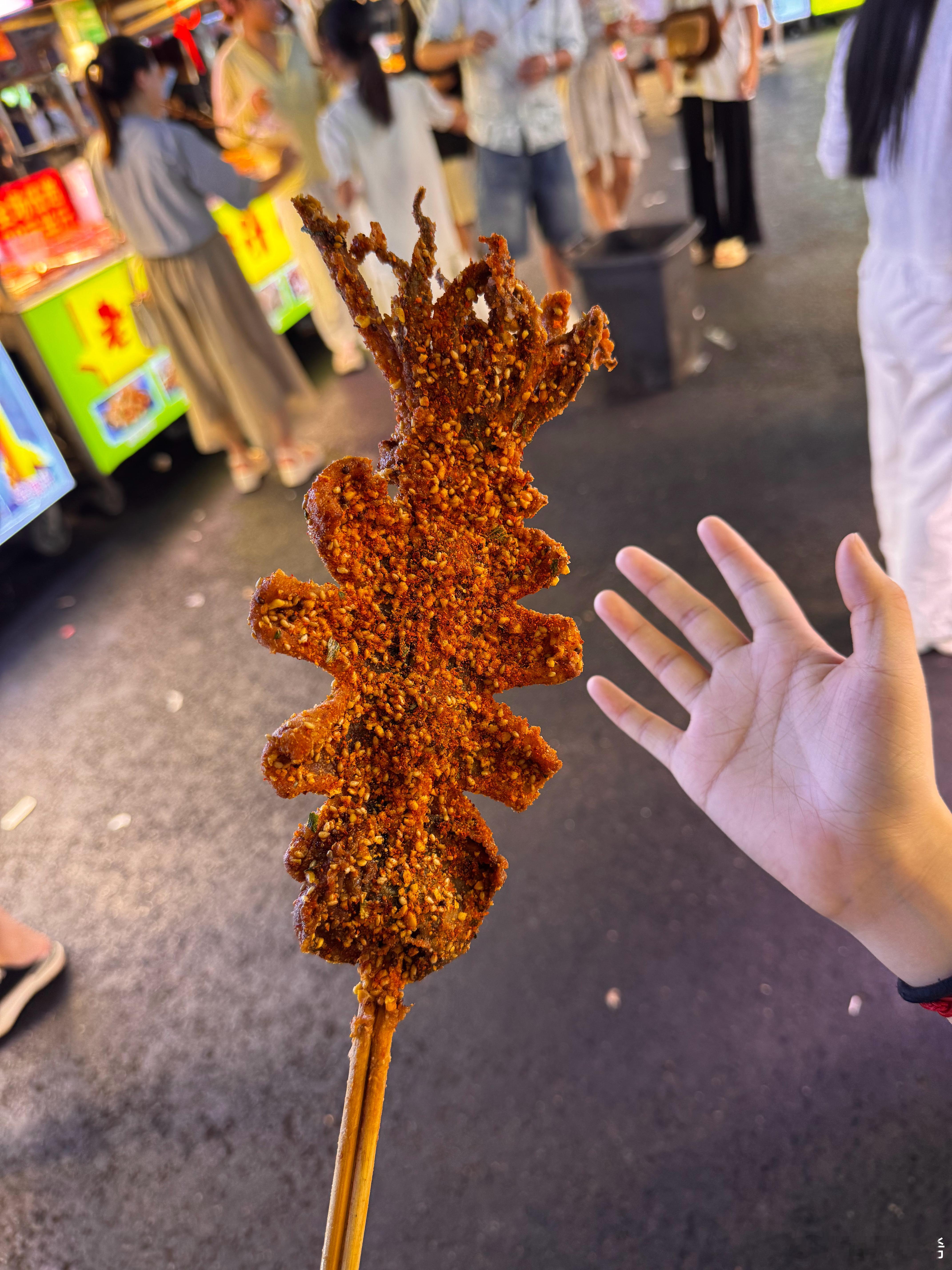 比手还要大的轰炸大鱿鱼😋