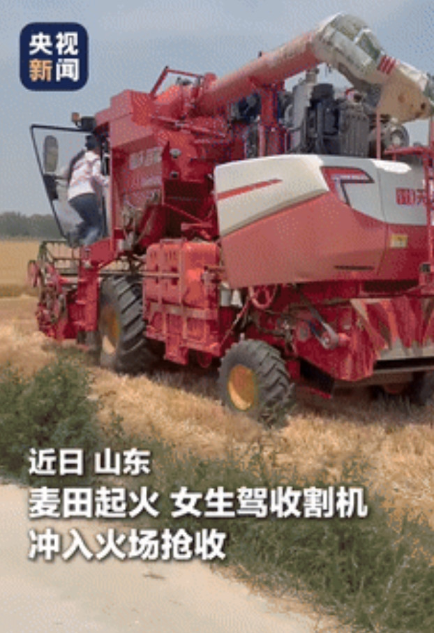 “这个美女又被央视点赞了！”山东，100多亩麦田起火，女生开收割机冲入火场抢收，