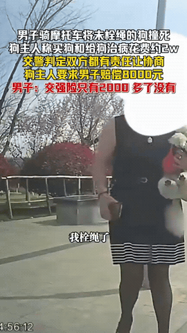 陕西，一男子在路上骑摩托车时，突然迎面跑过来一只未栓绳的宠物狗，正好同男子相撞，