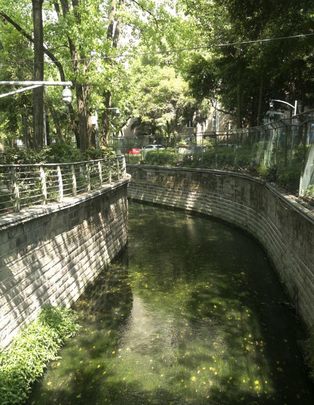 成都，对于市区河道治理，真成效显著啊！这些年的环境和水质，明显好了很多！曾经