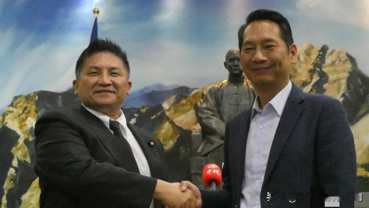 杨琼樱为啥不愿意搞“全民调”呀？今天国民党台中市长候选人协调没出结果，江启