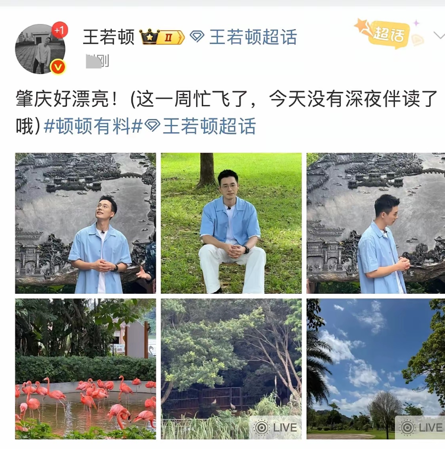 总觉得顿顿怪怪的，离职到无缝衔接，目前已经接拍节目，说明早就开始布局