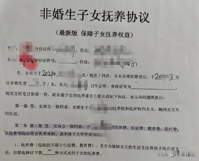 琼海。严先生跟叶女士相识，二人确定恋爱关系之后同居。同居之后没多久，叶女士怀孕，