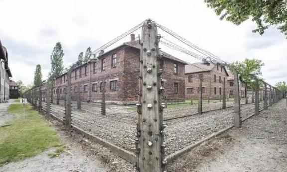 1944年，10岁的双胞胎姐妹被送去了奥斯维辛集中营，每周三次她们会被脱光衣服送