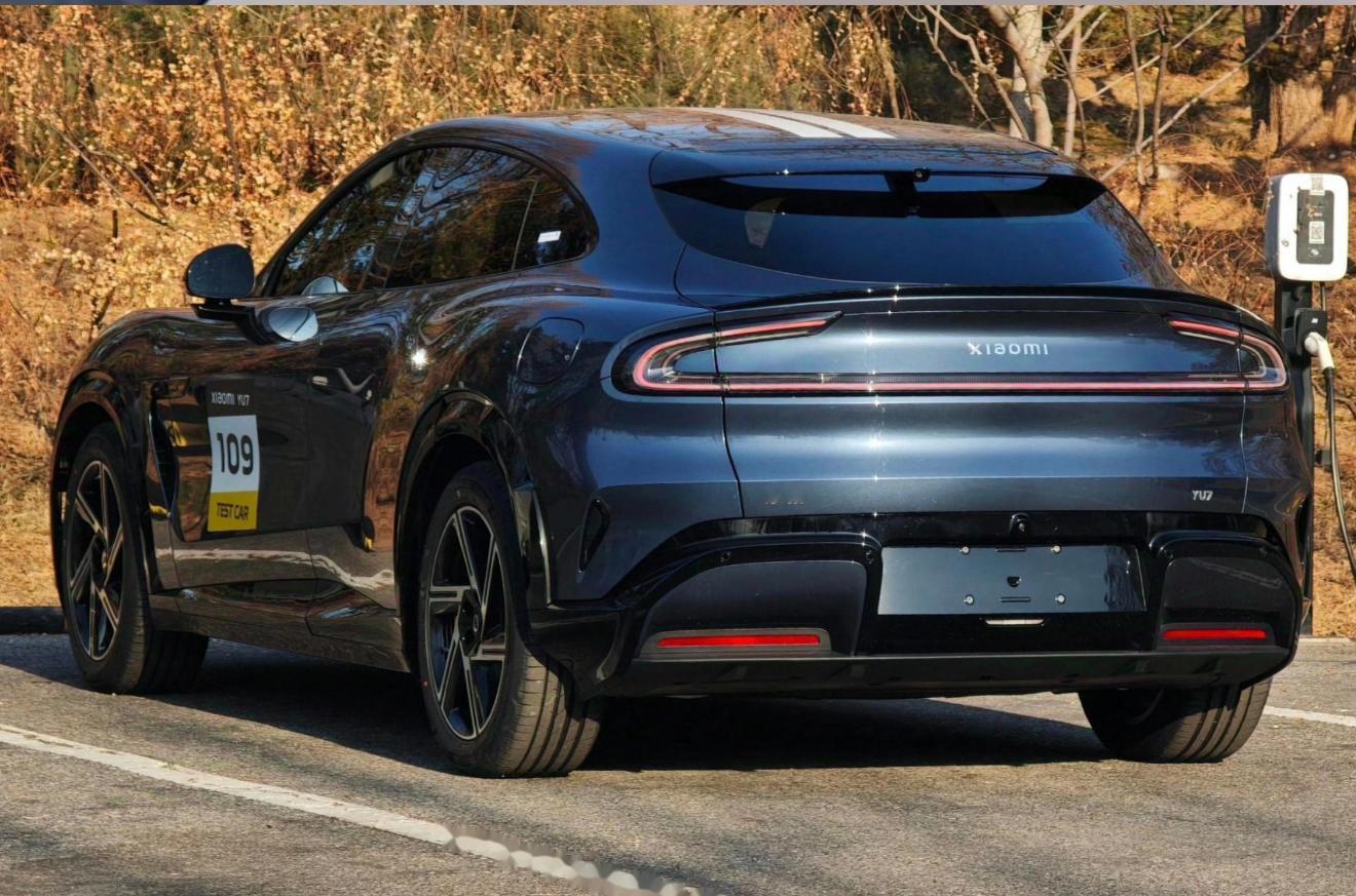 给米粉对比一下，理解一下什么叫面条胎。