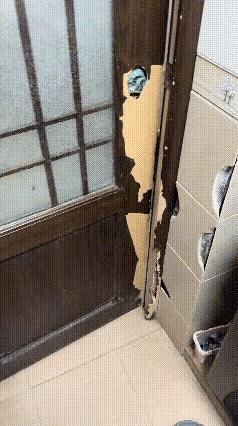 社会你狗哥[惊恐]