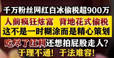☁4000万粉网红白冰偷税超900万，晒豪车吃和牛，背地账本却全是空壳公司