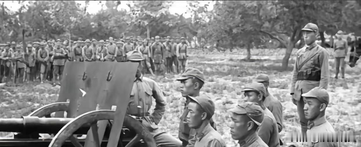 1942年秋，鲁中一名沉默的团长，在“拉网合围”绝境中截获伪军密电，决定伏击日军