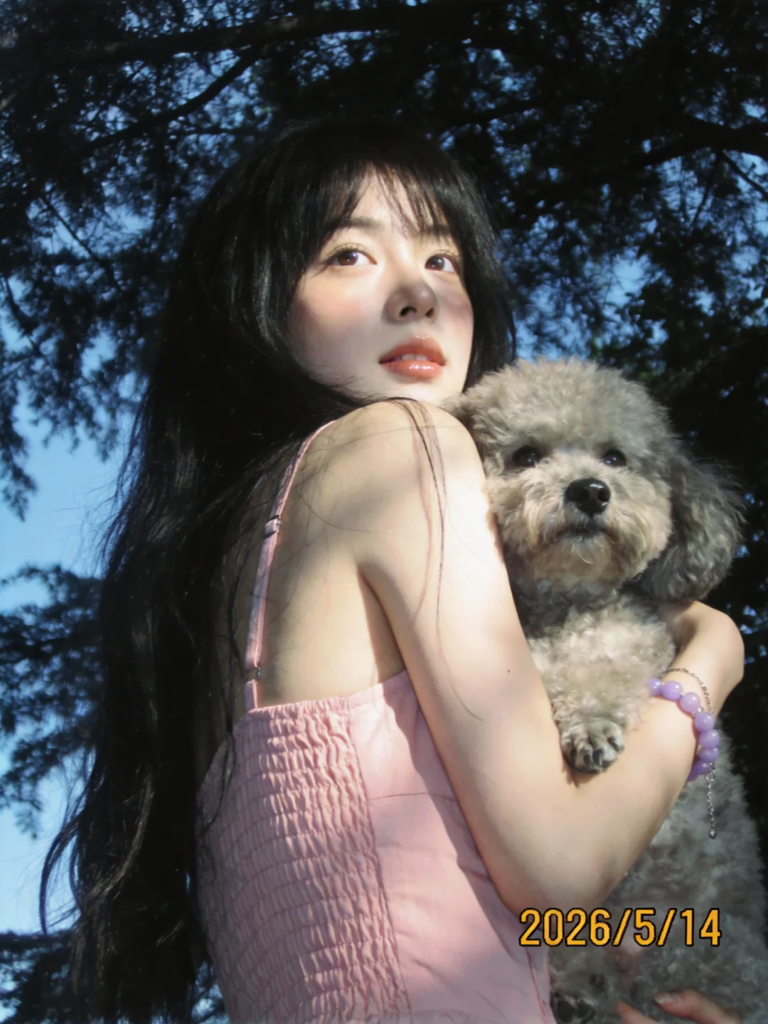 0 成本💛森系柔光写真