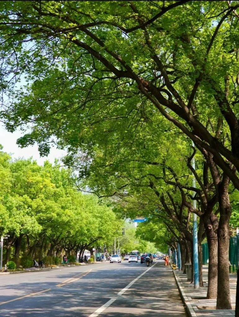提前通知一下，让大家有个心理准备，10天以后，也就是7月15日9点56分正式