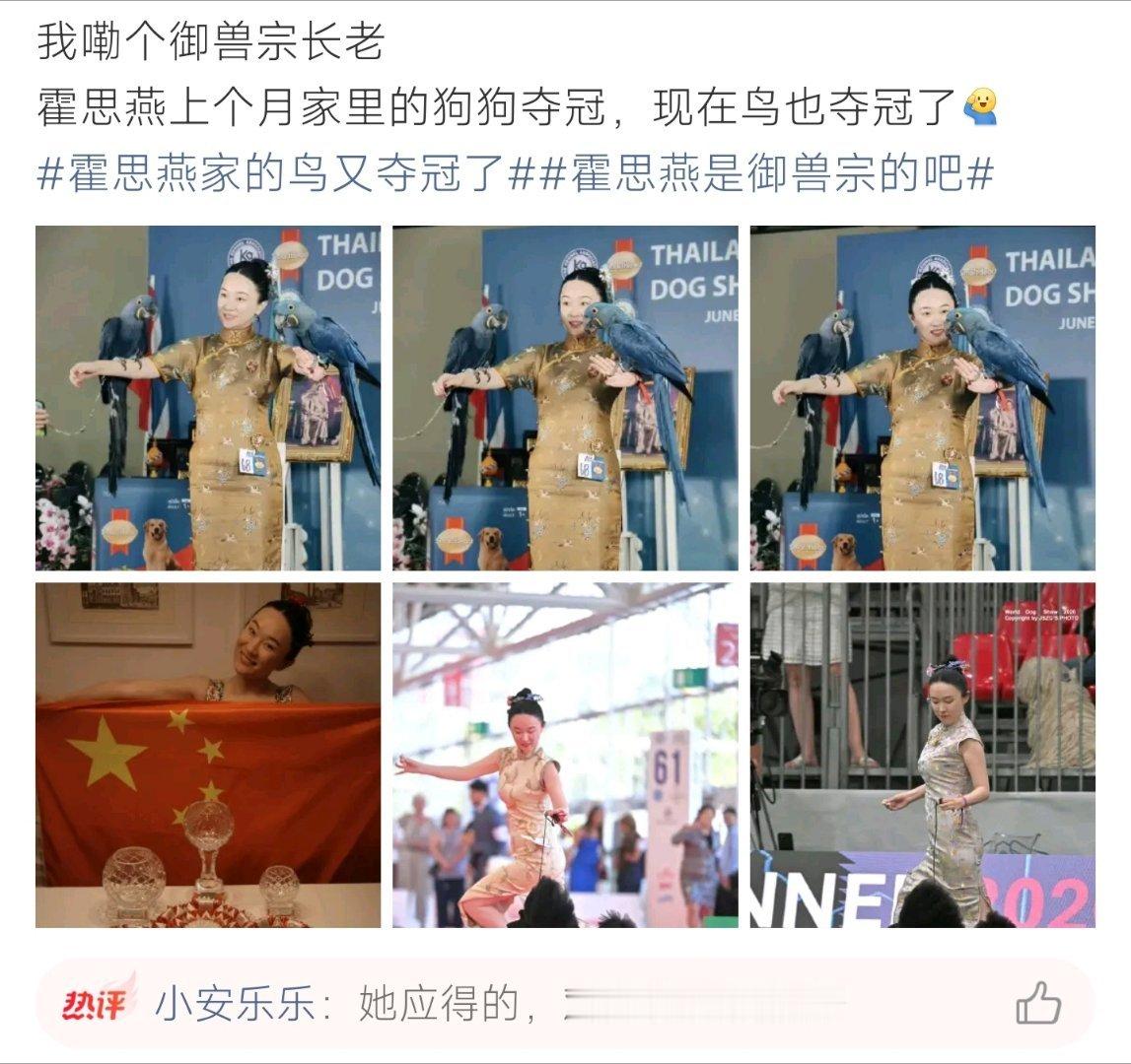 霍思燕家的鸟又夺冠了霍思燕携金刚鹦鹉赛场斩获冠军，此前自家狗狗也曾夺冠，堪称全能