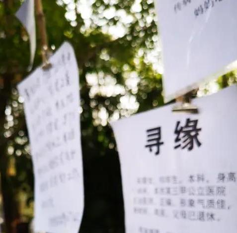 相亲遇到了一个完美的男人，成熟稳重，工作单位好，人也帅气她坐在那里就想：这