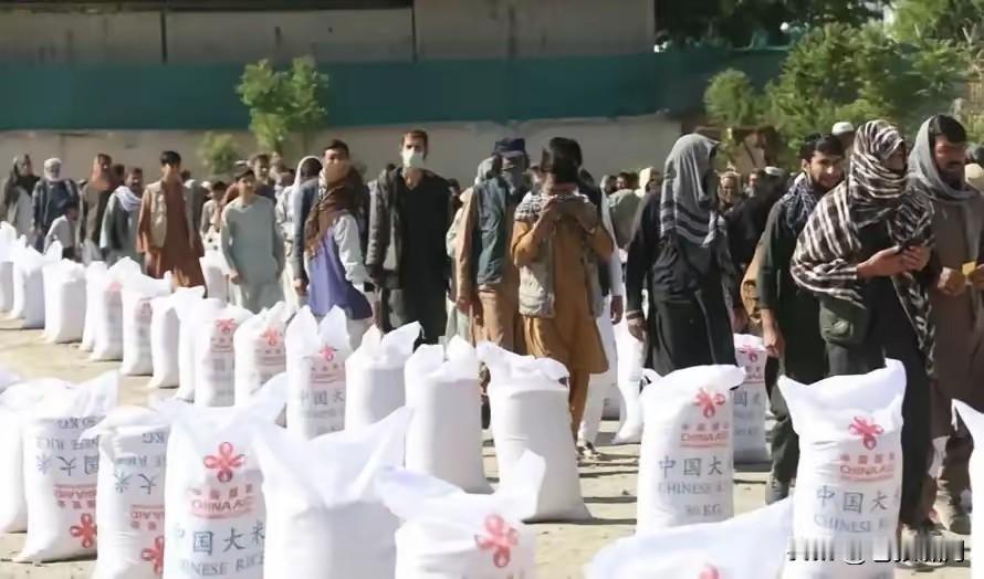 实在不明白，古巴为何粮食不够吃，还要我们援助？同是一片蓝天，同是一个地球，为何北