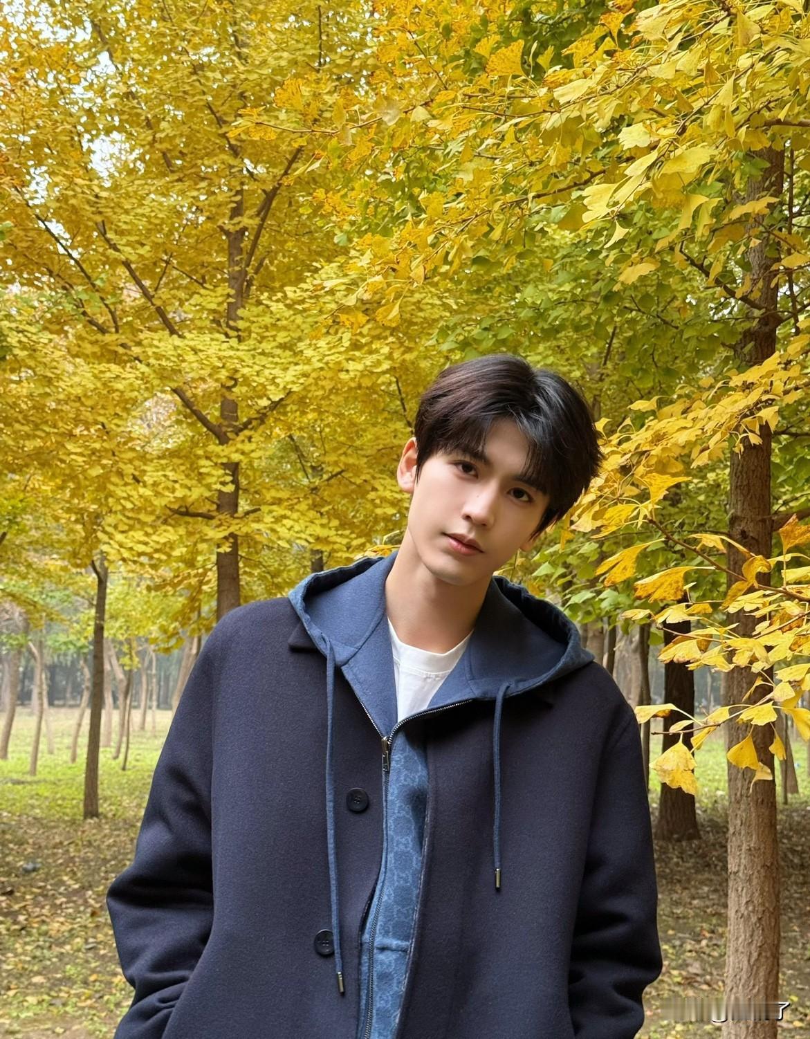 秋日美男来袭，张凌赫和杨洋的颜值，谁更能打动你呢？两个美男子无论是现偶剧还是古偶