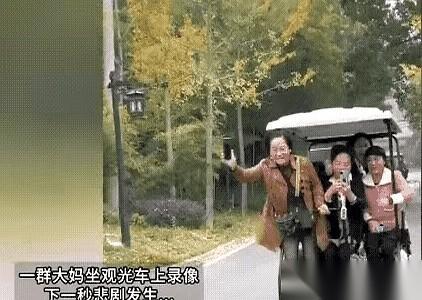 红衣大妈的脚尖还点在地上，猛地一使劲，对面座位上的大姐“嗷”一嗓子笑了出来。那