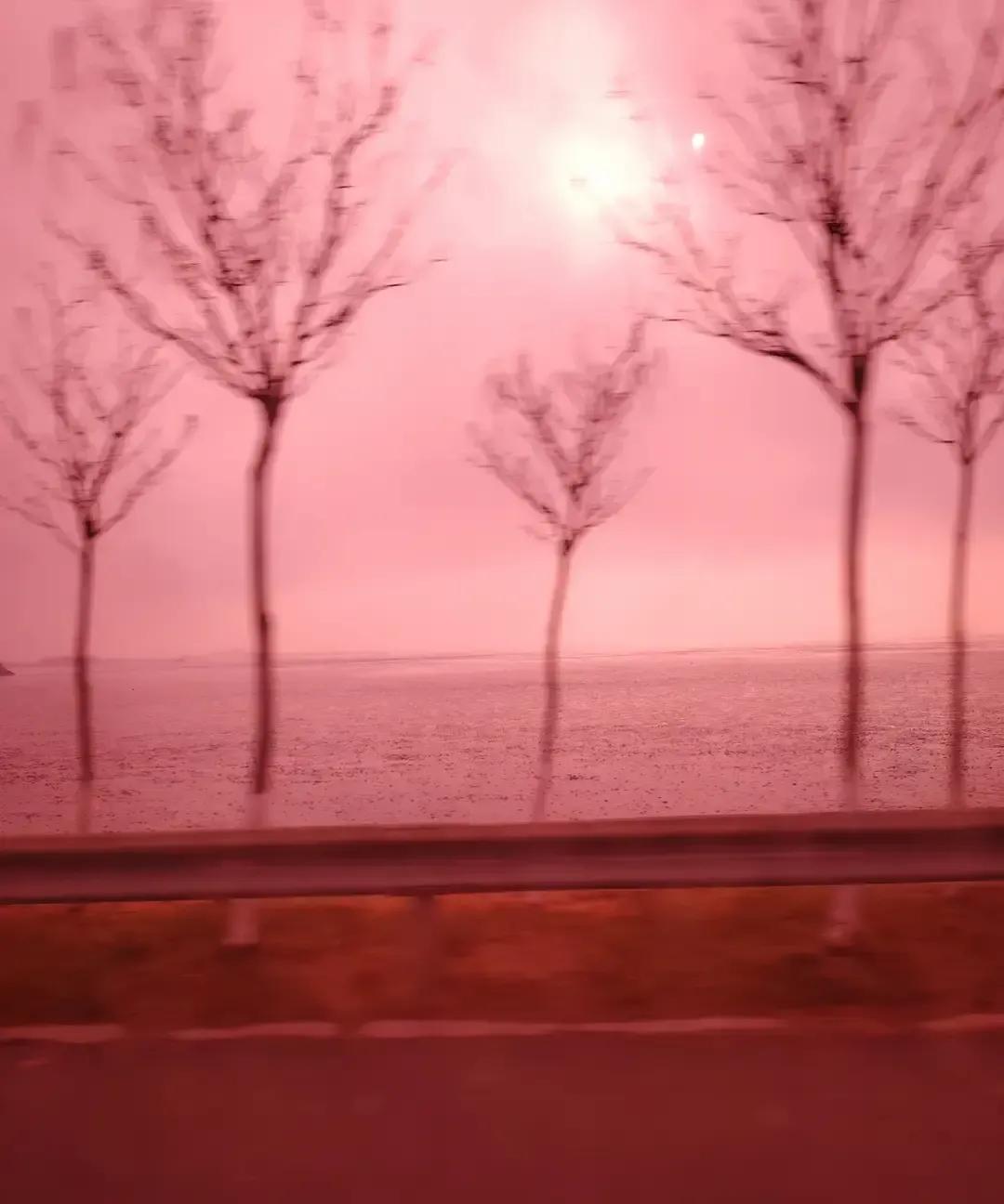 发小闺蜜老公跟小舅子媳妇搅在一起好几年，整条街都当连续剧追。我昨晚刷到爆料视频