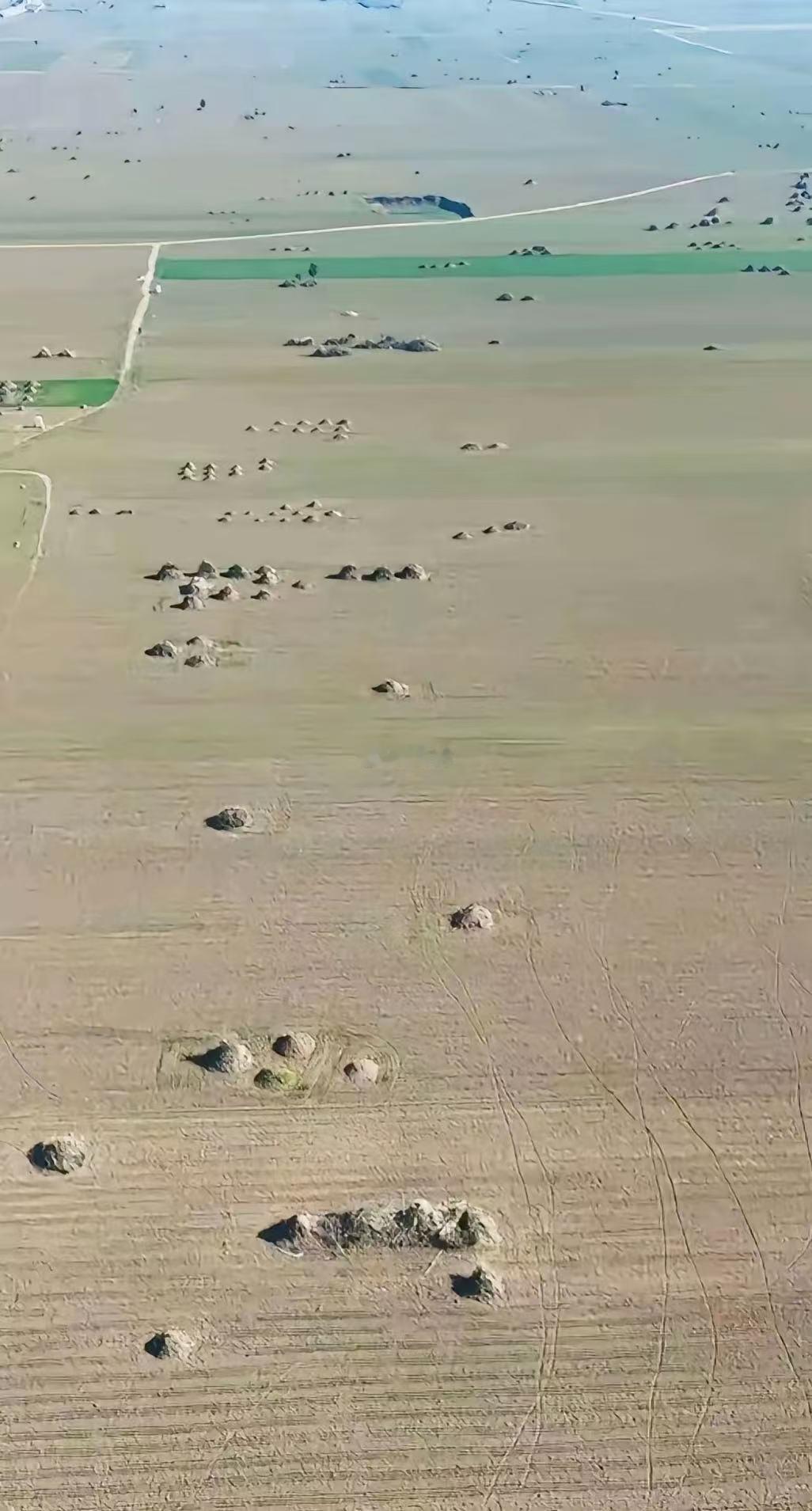 为何要推行火葬？这就是证明