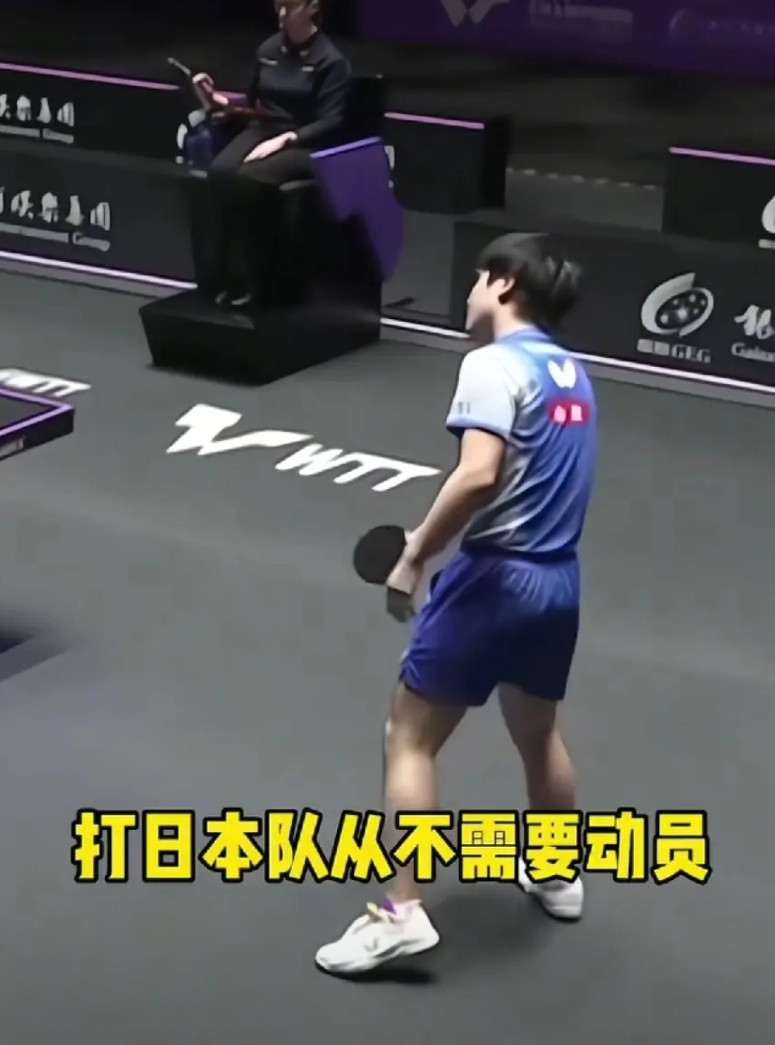 张本智和呀，张本智和，你惹谁不好偏偏惹怒了国乒的球迷，这下“完犊子”了吧，听听薛