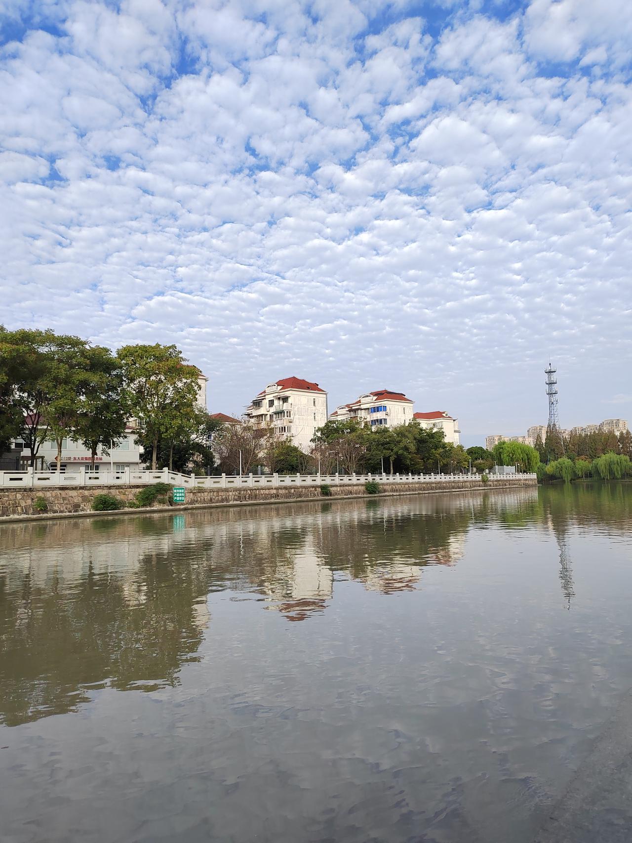 根据《上海市老年人I权益保障条例》规定，上海出I台了陪护假，新规将于11月1日正