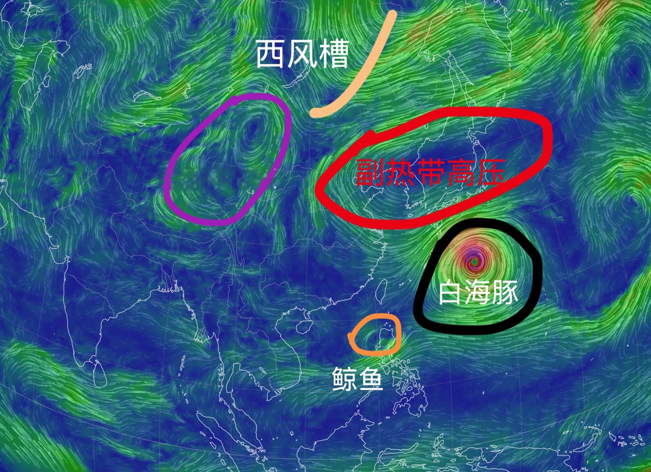 台风白海豚台风白海豚路径特别篇：【请选择白海豚的路径】—————开篇备注