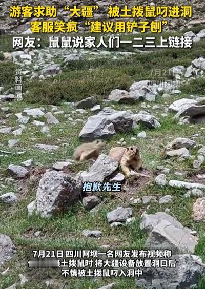 “笑不活了！”四川，男子拍摄土拨鼠，刚将大疆设备放洞口，结果，下一秒就被土拨鼠叼
