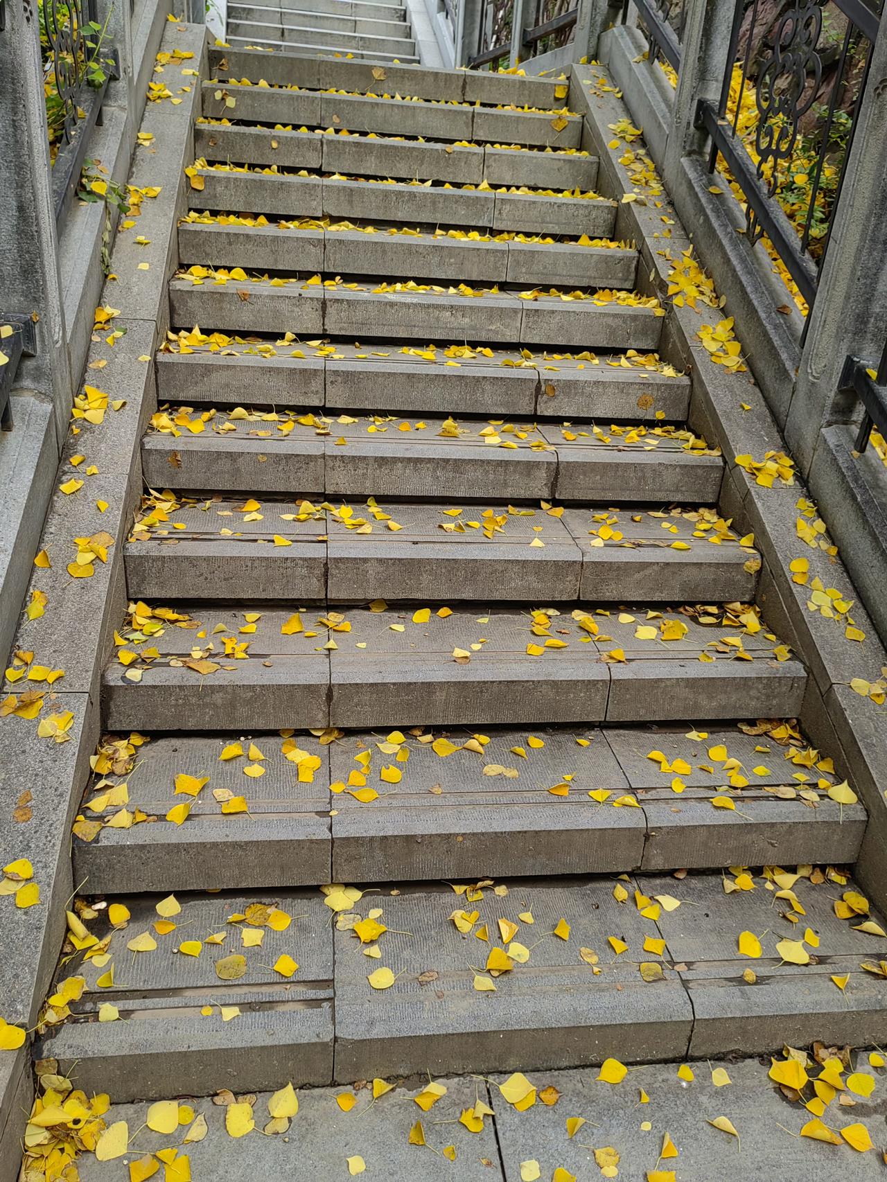 领导最没水平的一句话是什么?对下属赌气的说：要不，你来干这个XX长？没水平在于