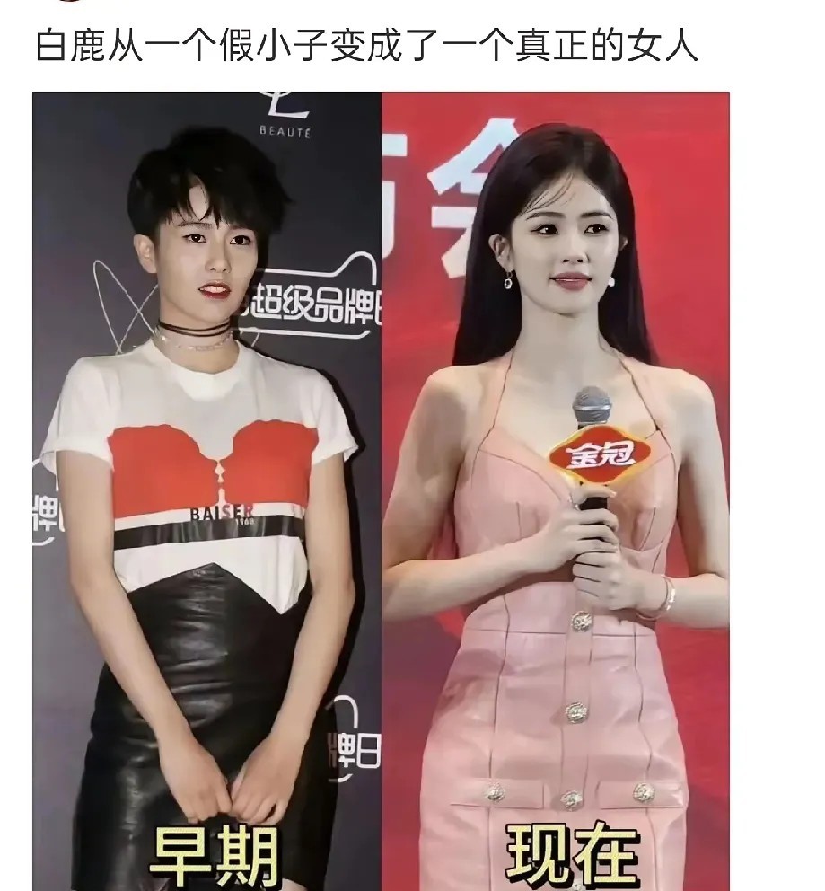 白鹿这变化，简直了…