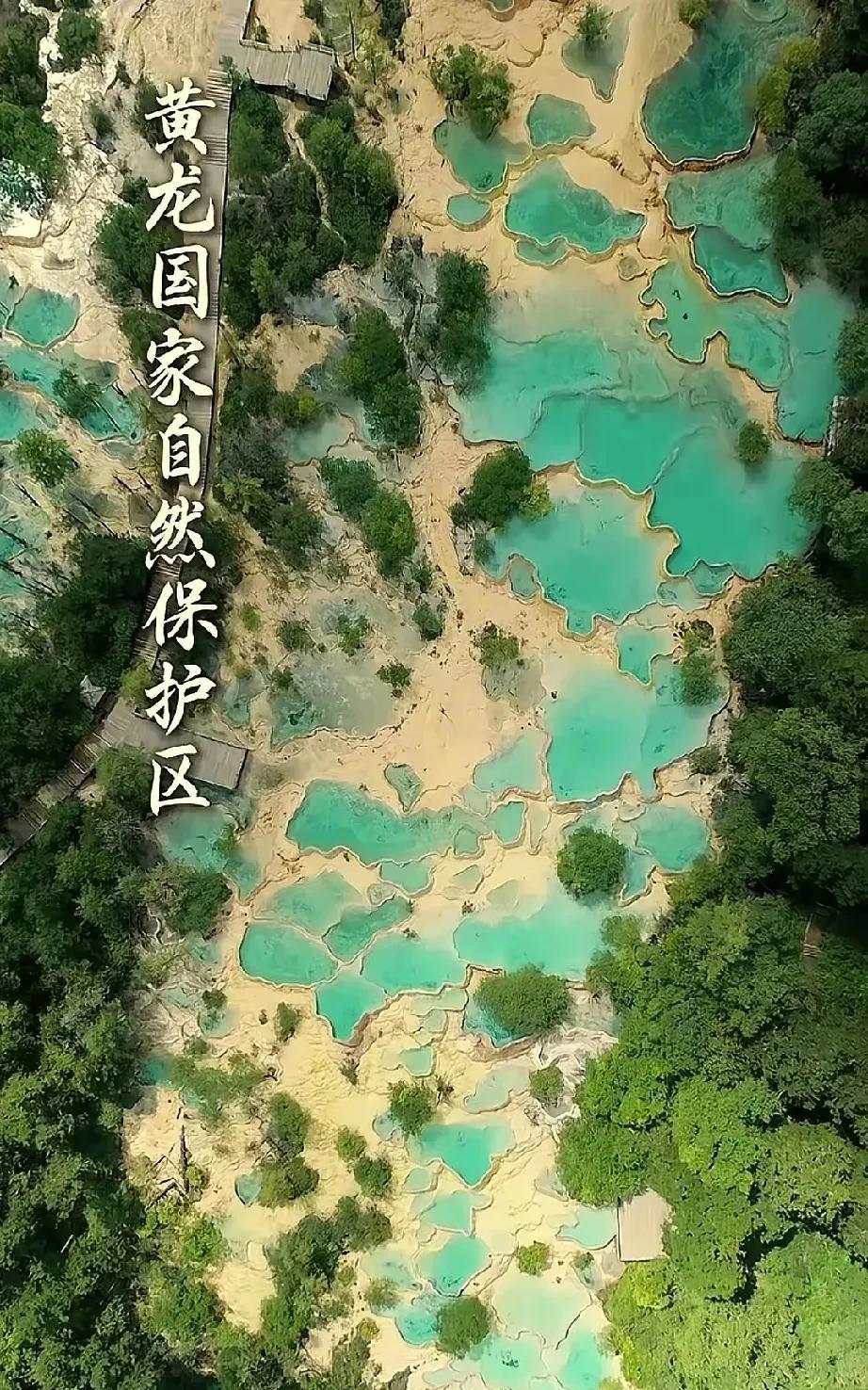董宇辉动了谁的奶酪？瞬间觉得不香了，不知道为什么。董宇辉同学的努力放在那里，有