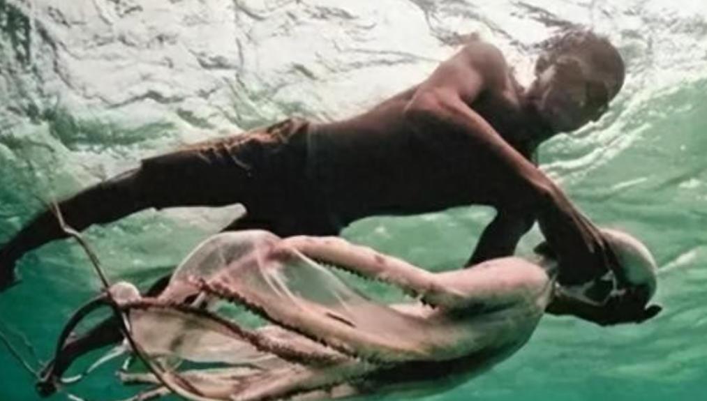 世界上唯一没有国籍的民族：一生只能待在水里，身体开始“进化”麻烦各位读者点